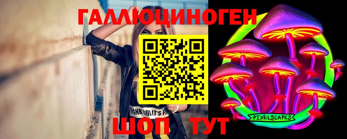 Галлюциногенные грибы GOLDEN TEACHER  Псилоцибиновые грибы Cubensis  Вход с VPN  Кирово-Чепецк 